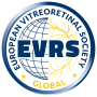 EVRS GLOBAL Logo
